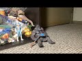 Stopmotion Test 19