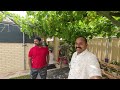 Perth ജീവിക്കാൻ പറ്റിയ സ്ഥലം ആണോ?| Australia Perth Malayalam Vlog