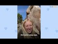 Rescue Pony Greets His Human Brother At His Window | The Dodo Soulmates