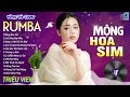 MỘNG HOA SIM , LƯỚT SÓNG ĐẠP MÂY - LK Nhạc Trẻ Rumba 8x 9x Hót TikTok - ALBUM RUMBA XUẤT SẮC NHẤT