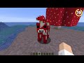 24 Rarest Things In Minecraft!