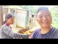 Family daily life Vlogs (Simple family)