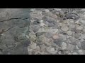 Sony xperia XZ1 slowmotion camera