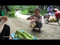 Harvesting Pear Melon (DUA LE) Goes to countryside market sell - weeding | My Bushcraft / Nhất