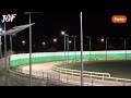 Greyhound Track Racing Competition