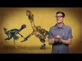 Did Dinosaurs Really Go Extinct?