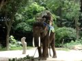 China Tour -- Life In Guangzhou -- Wildlife Park -- Part 6