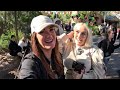 Day 9 | Natalie in Animal Kingdom, Port Orleans Beignets & reunited at Disney Springs | ORLANDO |