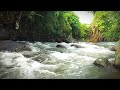 Gurgling Sound Water in Beautiful River