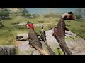 Snack Sized Bird Tries to Survive - Latenivenatrix Gameplay | Path Of Titans