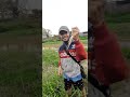 mancing ikan gabus lumayan besar