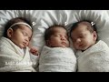Soothing lullabies for baby's sleep 🎶👶💤