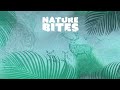 Tiger Cub Prepares for its First Kill! | Swamp Tigers | Nature Bites
