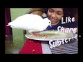 Breakfast With My Baby Bird || Feeding my Bird