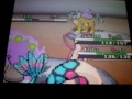 random pokemon black/white wifi battle #3