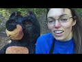 Chainsaw Carving a Bear in Time Lapse First Attempt Ever DIY Rustic Art