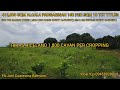 #vlog #94 RESIDENTIAL FARMLOT,MANGO FARM,MAHOGANY,FISHPOND, RICELAND,10 TITLE 150 PER SQM