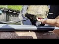 【夏始動】暑すぎる日のクサガメ　Turtle on a hot day