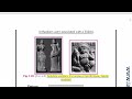Lecture 17 Complete Art and Culture Nitin Singhania Mauriyan art and architecture  ashokan pillars