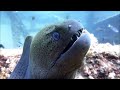 Scuba Diving at Phuket, Thailand with Merlin Divers