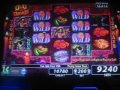 Day of the Dead slot machine win