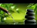 Relaxing music Relieves stress, Anxiety and Depression 🌿 Heals the Mind, body and Soul - Deep Sleep