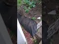 How the property drains