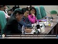 ‘We’re not corrupt’: Tulfo, peace adviser Galvez clash at Senate hearing