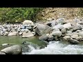 The Sound of a Rushing River to Sleep | 1 Hour Water Sounds for Sleeping