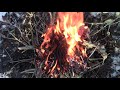 How To Light A Fire When The Woods Are Wet