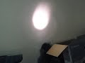 Cat Chasing A Light Beam Across Wall