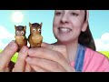 Learn Animals with Ms Rachel for Toddlers - Animal Sounds, Farm Animals, Nursery Rhymes & Kids Songs