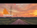DUSHKO - Way