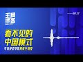 「看不见的中国模式」专访经济学家黄亚生教授｜王局播客 20240803