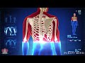 Full Body Healing (528Hz) - Alpha Waves Massage The Brain, Regeneration Aging Cells, Repairs DNA