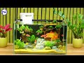 Beautiful rustic fish tank for living room