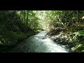 鐘山の滝から流れる激流