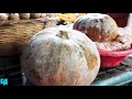 সবজির পাইকারী ও খুচরা দরের চরম পার্থক্য  – ভোক্তাগন গুনছে মাশুল | vegetable price in bangladesh