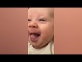 Best Videos of the Cutest and Funniest Baby Moments - Funny Baby Videos