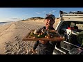 Solo Beach Fishing: 3 Top Fish In One Session! CATCH and COOK