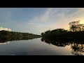 Sunset in the Amazon rainforest, Rio Negro, Manaus, Brazil. A truly magical place!