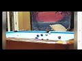 Billiards Pool Jump shot double kiss in side shot. 🍀🍀🍀🍀🍀