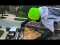 Removing plywood from roof to get to abandoned bee colony. Like and share @beeboyzinc.7941