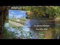 Pine River Walk: Art Stream Highlight Timelapse