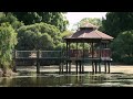 Tomato Lake | City of Belmont