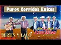 Dueto Bertin y Lalo, Los Armadillos De La Sierra - Puros Corridos Exitos 2023 - Mix Para Pistear