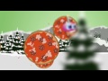 [Comic Animation] CUTE FNAF WORLD - The Big Fight Giant Snowman