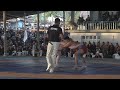 Kyrgyzstan Kadyr Kelsinbekov stuns Naga wrestlers with his techniques/ all bouts Naga wrestling 2023