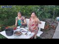 BỮA CƠM DÂN DÃ ĐỒNG QUÊ CANH KHOAI MỠ - CÁ KHO QUẸT -MẮM CHƯNG.