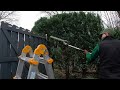 Just Before Christmas I HELPED A FAMILY Transform Their Yard